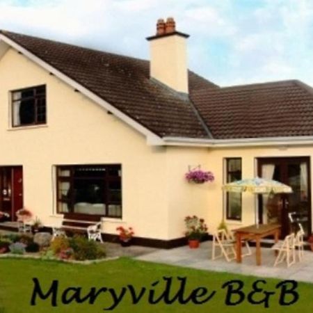 Maryville Bed And Breakfast Nenagh Exterior foto