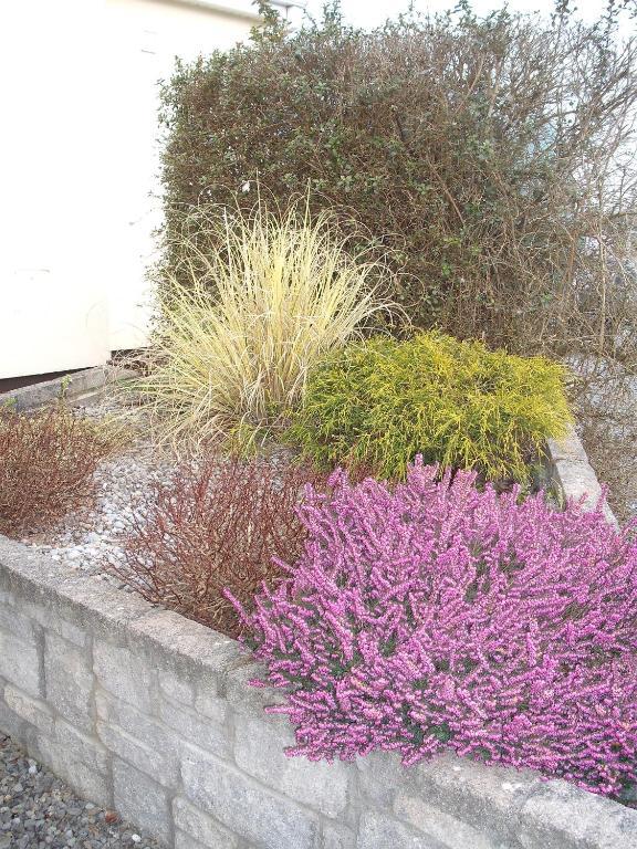 Maryville Bed And Breakfast Nenagh Exterior foto