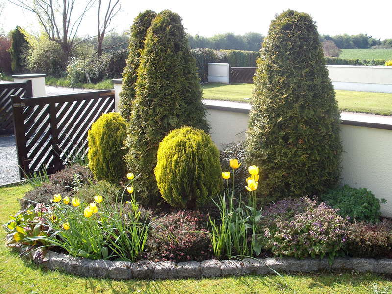 Maryville Bed And Breakfast Nenagh Exterior foto
